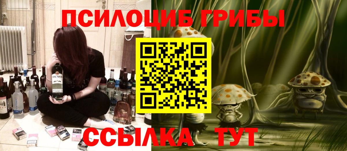 Касимов  Псилоцибиновые грибы мицелий  где найти наркотики  Вход с VPN  Галлюциногенные грибы GOLDEN TEACHER 