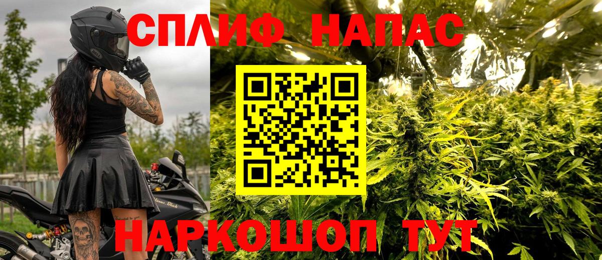 Шишки марихуана марихуана  Шишки марихуана план  Касимов  Канабис сатива  Вход с VPN 
